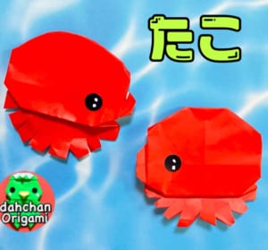 ぽってり　たこ