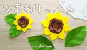 ひまわり