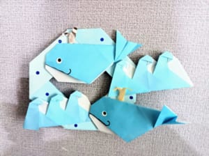 月星陽の折ってみた