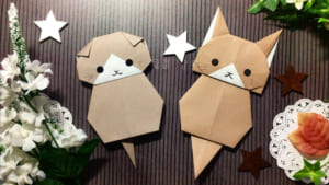 うちの子いちばん！「洋猫」