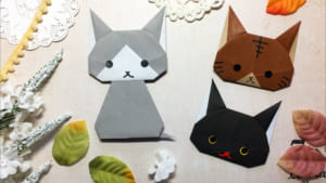うちの子いちばん！「猫」