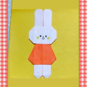 ワンピースうさぎ