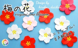 梅の花(音声解説つき)
