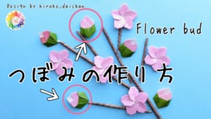 花のつぼみ