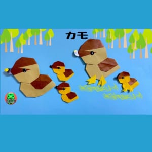 合鴨 あいがも