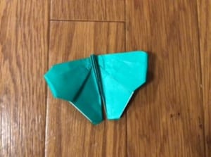 昆虫シリーズ（チョウ）