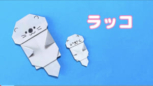 ラッコ