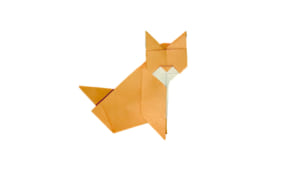 ねこ